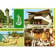 F 001315 - Konopiště