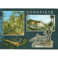 F 001367 - Konopiště