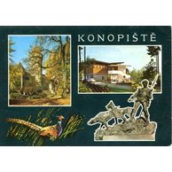 F 001368 - Konopiště