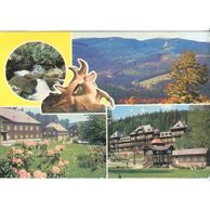 F 41243 - Karlova Studánka 