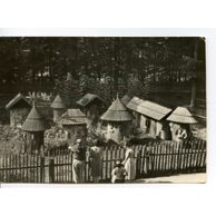 E 11070 - Rožnov pod Radhoštěm