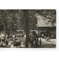 E 11081 - Rožnov pod Radhoštěm