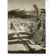 E 12131 - Špindlerův Mlýn