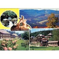 F 12964 - Karlova Studánka