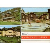 F 12951 - Karlova Studánka