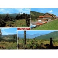 F 12868 - Jeseníky