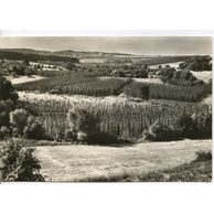 E 42538 - Pozdrav z česání chmele