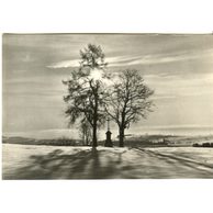 E 42545 - Vysoké nad Jizerou 