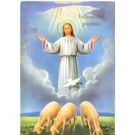 F 17063 - Náboženství