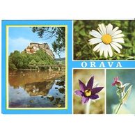 Orava - 39994