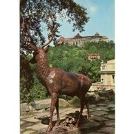 F 18491 - Karlovy Vary