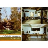 F 20696 - Rožnov pod Radhoštěm