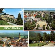 F 20754 - Javorník