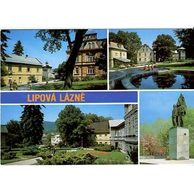 F 20764 - Lipová