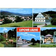 F 20768 - Lipová
