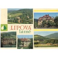 F 20773 - Lipová