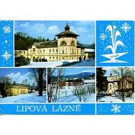 F 20784 - Lipová