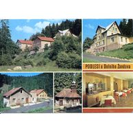 F 21050 - Podlesí u Dolního Žandova