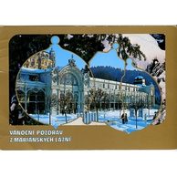 F 21132 - Mariánské Lázně2