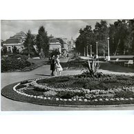 E 21608 - Františkovy lázně2