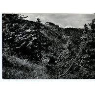 E 21646 - Jeseníky2