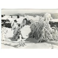 E 21655 - Jeseníky2