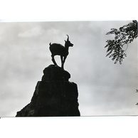 E 23252 - Karlovy Vary 3