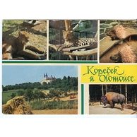 F 26200 - Sv. Kopeček