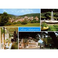 F 002263 - Luhačovice