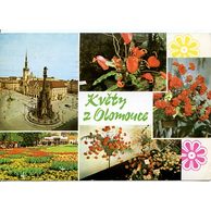 F 29046 - Olomouc (Olmütz)2