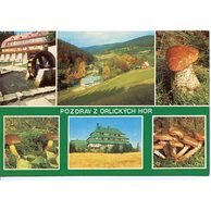 F 29354 - Orlické hory