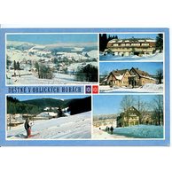 F 29534 - Deštné v Orlických horách 