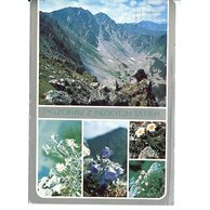Nízké Tatry - 30263