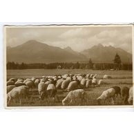 Vysoké Tatry - 30765