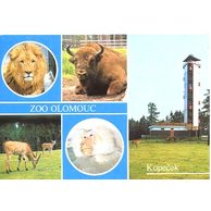 F 31197 - Olomouc (Olmütz)2 