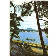 F 34258 - Máchovo jezero