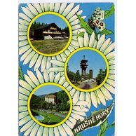 F 34505 - Krušné hory