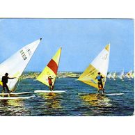 Camping Arapja - 35818