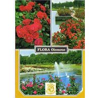 F 36219 - Olomouc (Olmütz)2 