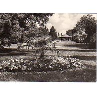 E 36443 - Poděbrady 