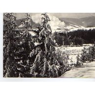 E 37726 - Jeseníky2 