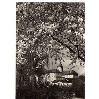 E 37923 - Poděbrady 