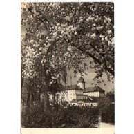 E 37919 - Poděbrady 