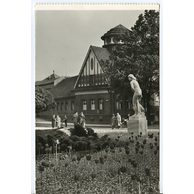 D 38142 - Poděbrady