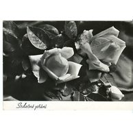 E 38314 - Srdečné přání