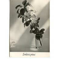 E 38315 - Srdečné přání