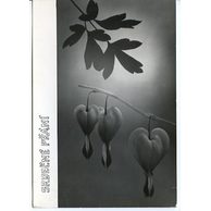 E 38318 - Srdečné přání