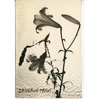 E 38316 - Srdečné přání