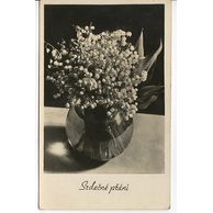 D 38332 - Srdečné přání