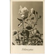 D 38333 - Srdečné přání